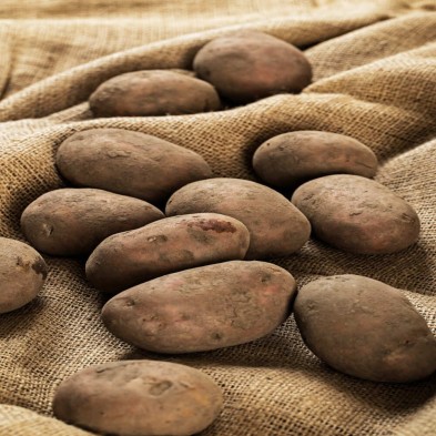 Patatas malla 5kg.
